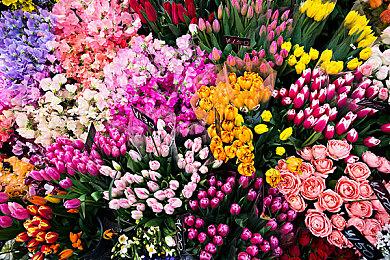 消息称任天堂新机NS2预计将于今年晚些时候发布